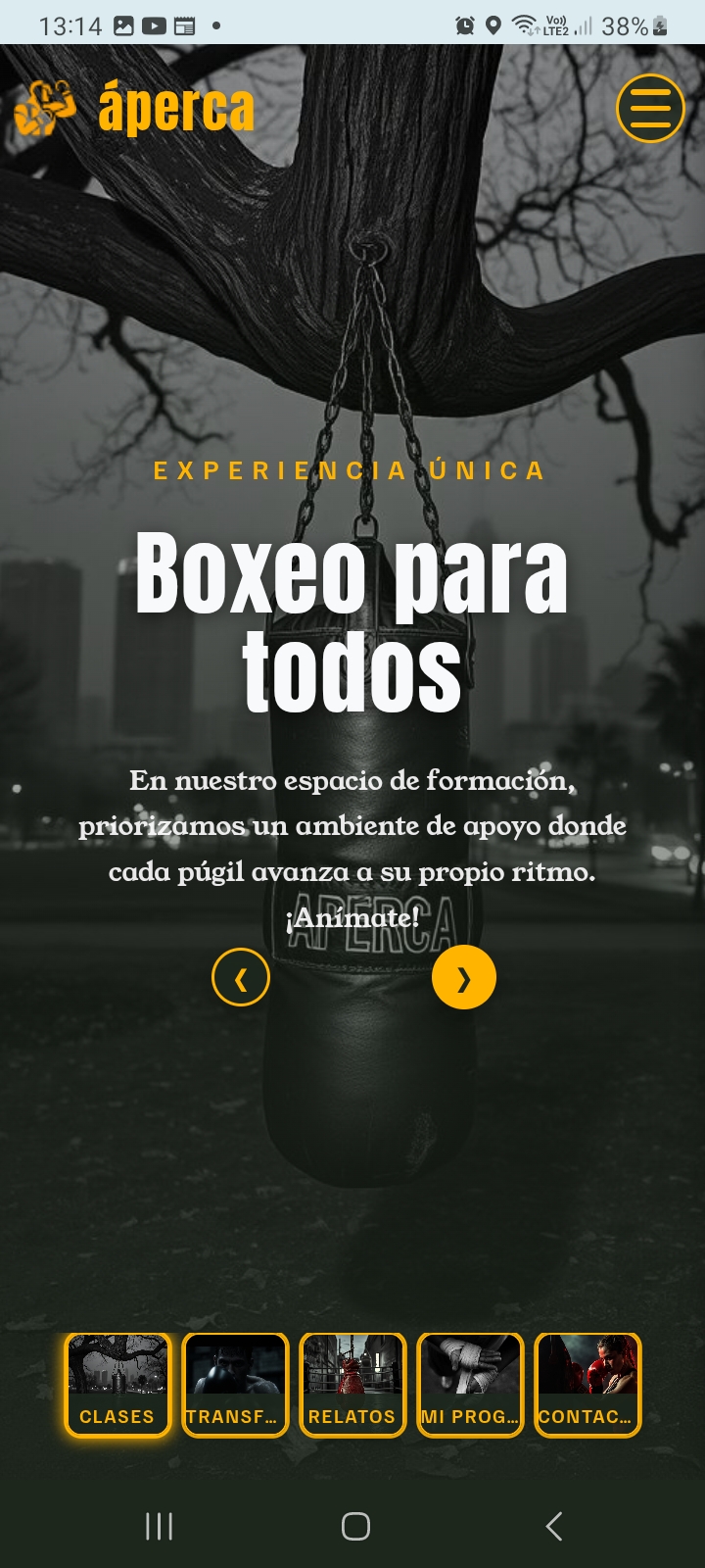 Diseño de una aplicación móvil en un teléfono