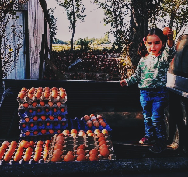 Resultados positivos